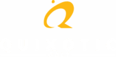 Quixotic Golf logo with white text and iconic golf symbols